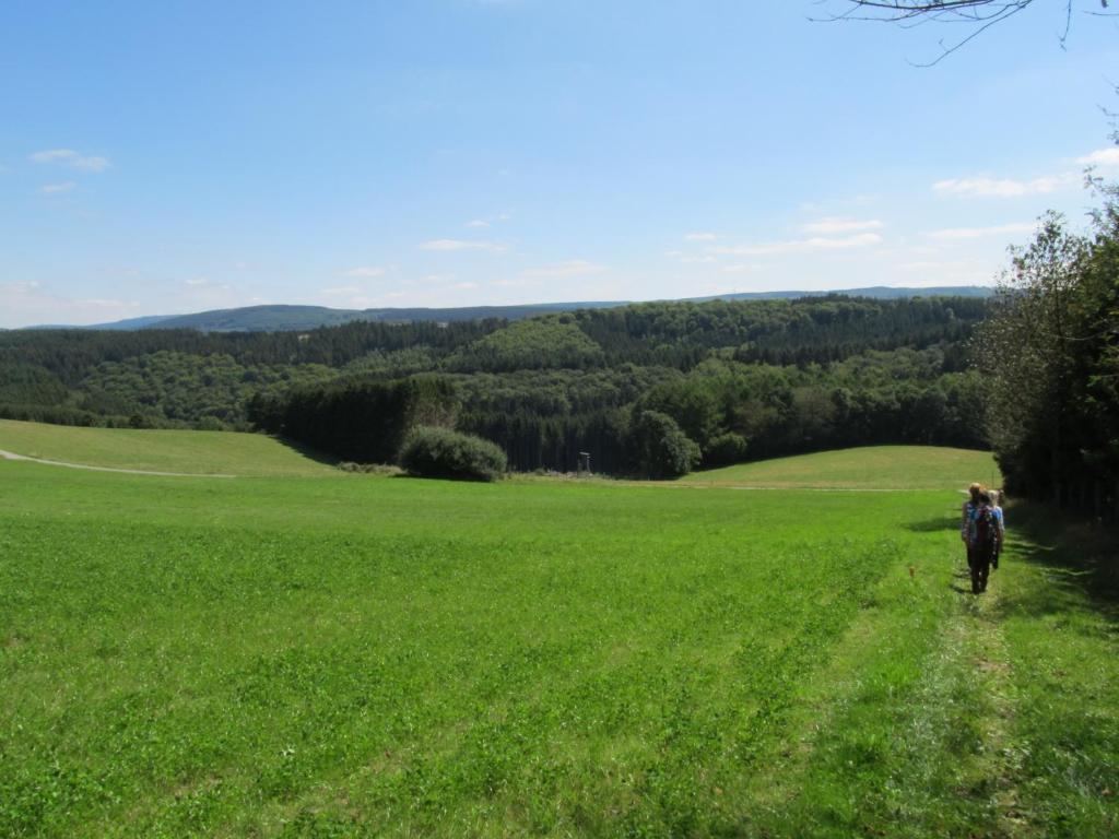 Haus Baerbel Apartment Geisfeld  Екстериор снимка